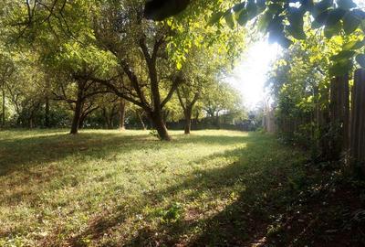 Spațiu comercial, în Central - 2