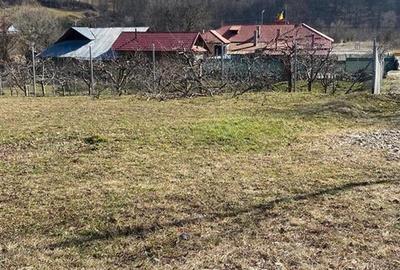 Teren de vanzare pentru constructii Slanic Moldova - 5