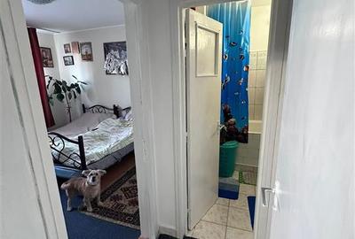 Apartament 2 camere Restaurant  Odeon - 3