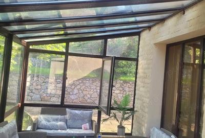 Casă cu 3 camere în Buziaș - 10