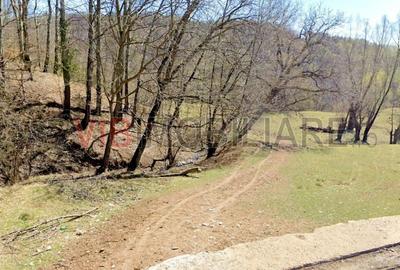 Teren de vanzare in Breaza Nistoresti Str Muresului - 3