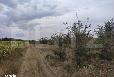 Teren de 6291 mp, în Bucovăț - 2