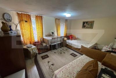 Casa solida pe Bld. Ecaterina Teodoroiu - Targu Jiu - 10