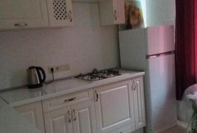 Apartament cu 2 camere de inchiriat zona Piata Romana - 2