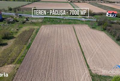 Teren de 6870 mp, în Totești - 3