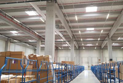 Spațiu industrial, de 1,000 mp, în Mogoșoaia - 2