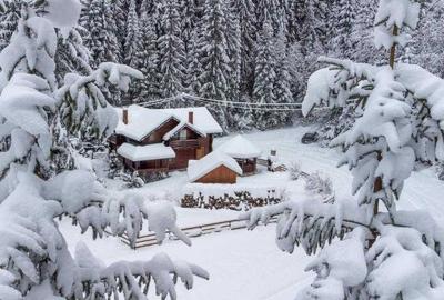 Casă cu 4 camere cu Teren 500 Mp în Beliș - 6