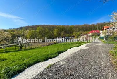 Teren intravilan 6.516 mp in Deva, prelungire str. Vulcan, spre Almas, Jud. Hunedoara. - 1