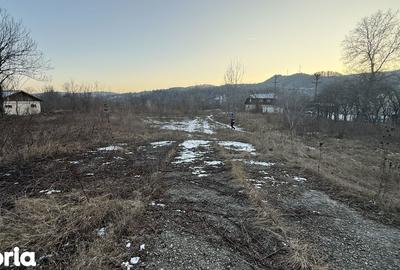 Teren de 10834 mp, în Dumbrăvești - 7