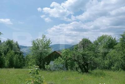 Teren în Scărișoara - 4