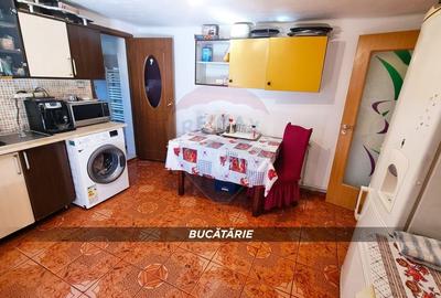 Casă cu 3 camere cu Teren 3724 Mp în Borlești - 10