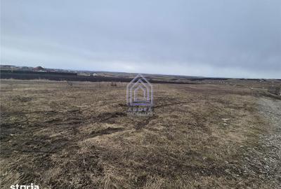 Teren de 800 mp, în Moara - 2