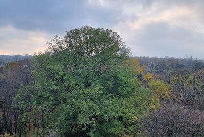 HERASTRAU SOSEAUA NORDULUI APARTAMENT 5 CAMERE  VEDERE PANORAMICA PARC - 2