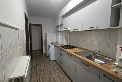 Apartament cu o camera, renovat, Podu Ros - 2