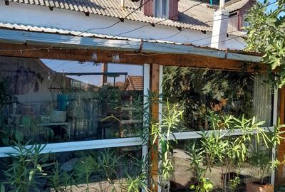 Casă cu 4 camere cu Teren 1500 Mp în Dumbrava - 2