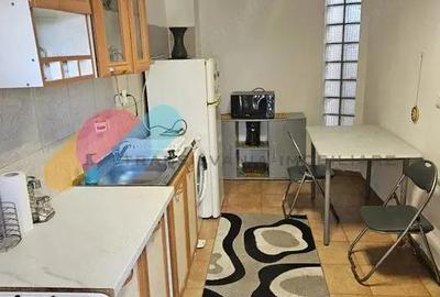 Apartament 1 camera la casa, cu terasa ?i curte Andrei Mure?anu, PET FRIENDLY Apartament 1 camera la casa, cu terasa ?i curte Andrei Mure?anu, PET FRIENDLY - 6