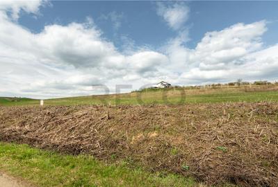 Teren intravilan Cetariu - 18