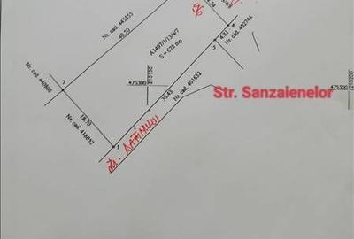 678 mp. str. N.Stoica de Hateg 96, colt cu str.Sanzaienelor/Dafinului - 6
