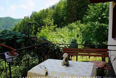 APARTAMENT IN VILA, BAILE OLANESTI - 16