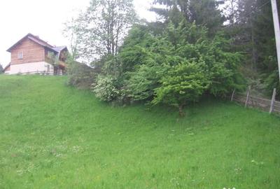 Teren de 4080 mp, în Valea Doftanei - 12