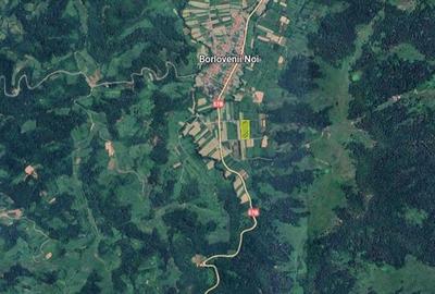 Teren agricol extravilan de 16000 mp, în Borlovenii Noi - 6