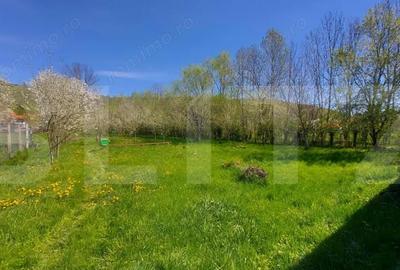 Casă cu 2 camere cu Teren 3100 Mp în Lisnău - 10