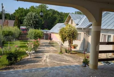 Casă cu 7 camere cu Teren 1000 Mp în Dragomirești - 14