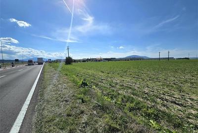 Teren Construcții extravilan de 18000 mp, în Periferie - 7