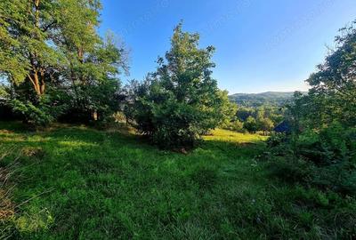 Teren de 3250 mp, în Păușești - 2