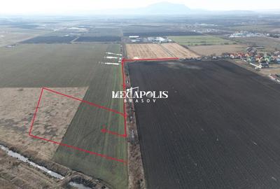Teren Construcții intravilan de 500 mp, în Bod - 4