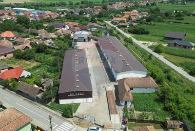Spa?iu industrial de vanzare in Sangeorgiu de Padure... - 2