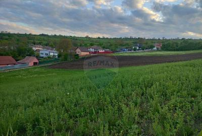 Teren de 2983 mp, în Târnăveni - 6