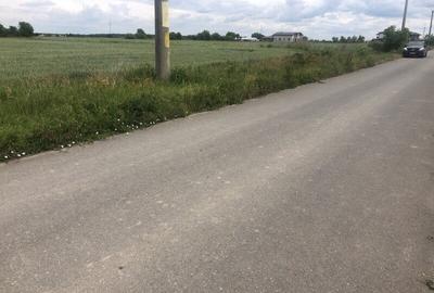 Vanzare Teren Rezidential 1 Decembrie Ilfov 35000mp - 3