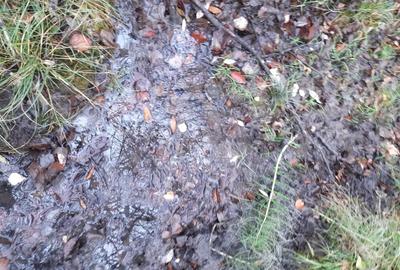 Teren de 5000 mp, în Potoci - 2