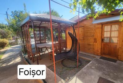 Casa moderna de vanzare Valul lui Traian - 14