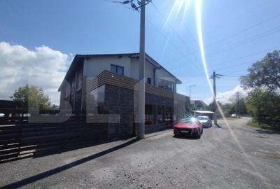 EXCLUSIVITATE! Pensiune 10 camere si Aqua parc, Prundu Barga - 3