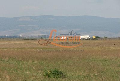 Teren Construcții intravilan de 240000 mp, în Exterior Est - 11
