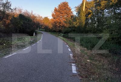 Casă cu 2 camere cu Teren 1500 Mp în Central