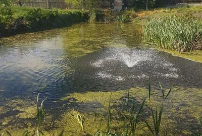 Casă cu 4 camere cu Teren 1500 Mp în Valea Părului - 4