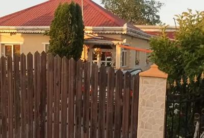 Casă cu 3 camere cu Teren 1500 Mp în Secu - 3