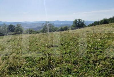 Teren de vanzare, 1Ha in apropiere de cartierul RAAL - 5