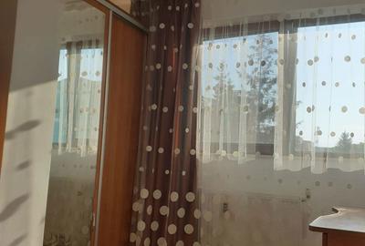Apartament cu 2 camere semidecomandat în Trivale - 7