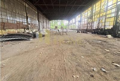 Spațiu industrial, de 3,824 mp, în B-dul București - 10