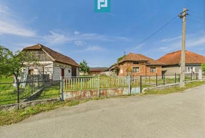 Casă cu teren de 4707 mp în Hălmăgel, județul Arad - 11