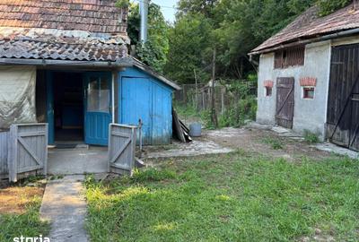 Casă cu 4 camere cu Teren 735 Mp în Dăbâca - 15