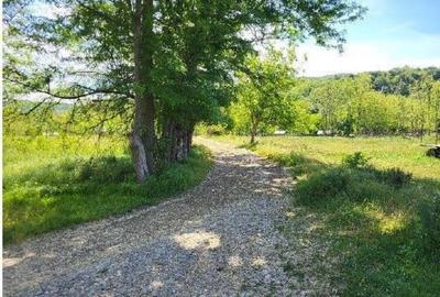 Teren extravilan arabil Tisau, ID: R2590475 Teren extravilan arabil Tisau, ID: R2590475 - 7