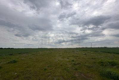 Teren de Popesti Leordeni - 2