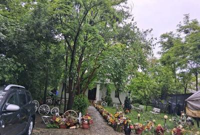 Casă cu 4 camere cu Teren 3000 Mp în Zorleni - 2