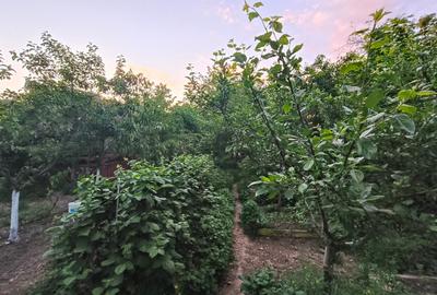 Apartament cu 2 camere în Elisabetin - 18