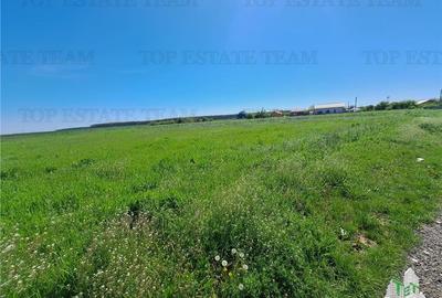 Loturi teren de vanzare Branesti/Vadu Anei - 7